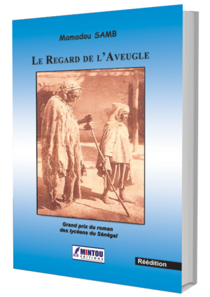 LE REGARD DE L'AVEUGLE