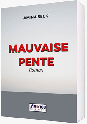 Roman Mauvaise Pente Aminata Seck